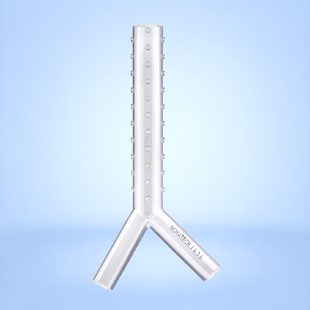 Stent Dumon en Y